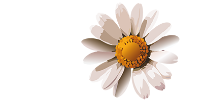 Blüte